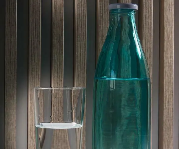 리조트 Oasis Del Sol - Front 로제넷츠